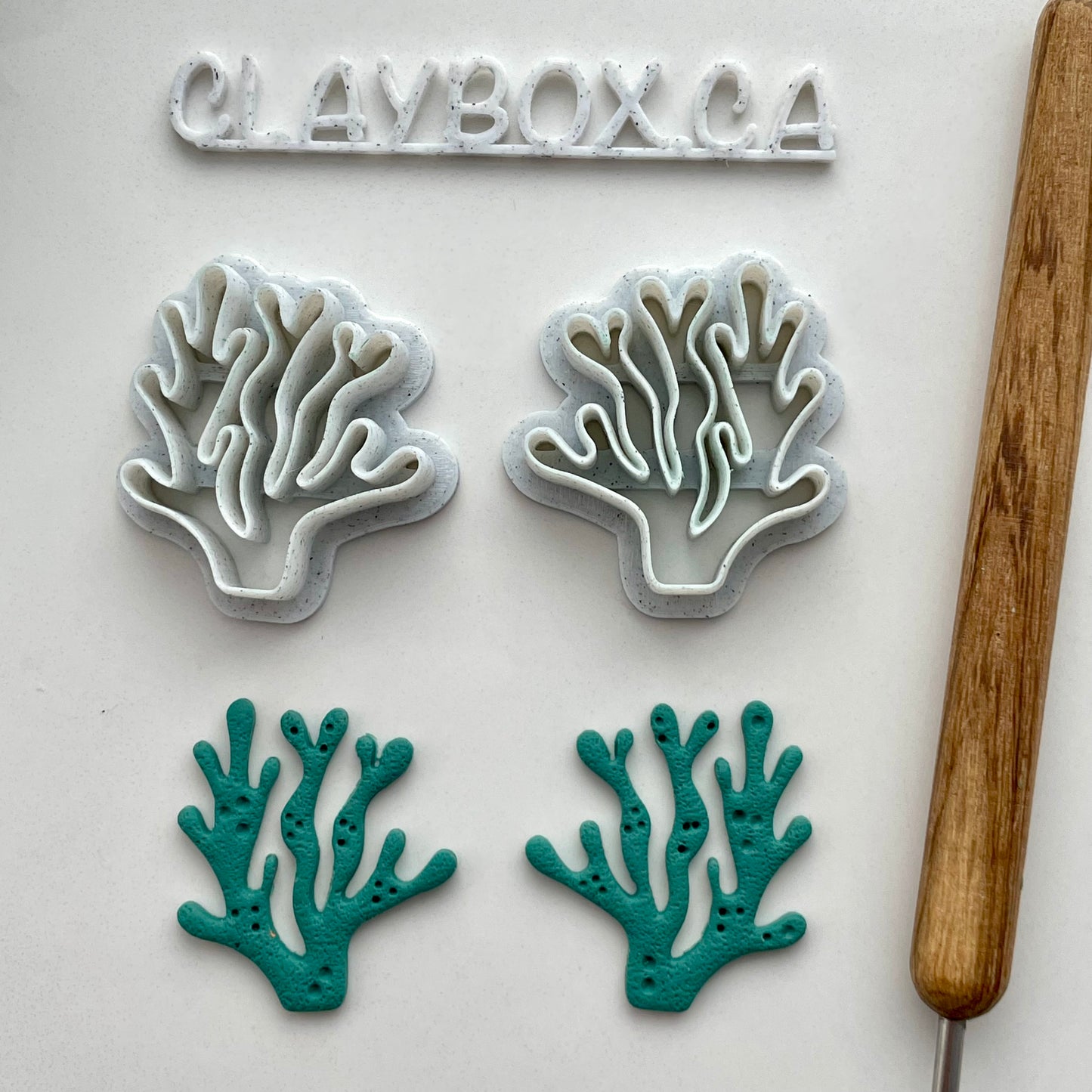 Coral cutter pair / Seaweed cutter pair