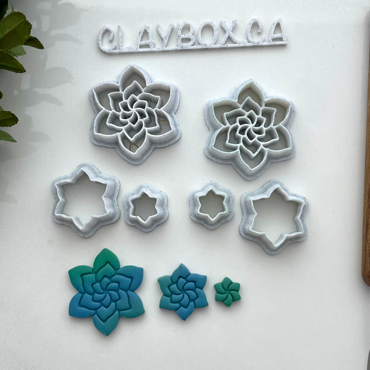 Clematis cutter set