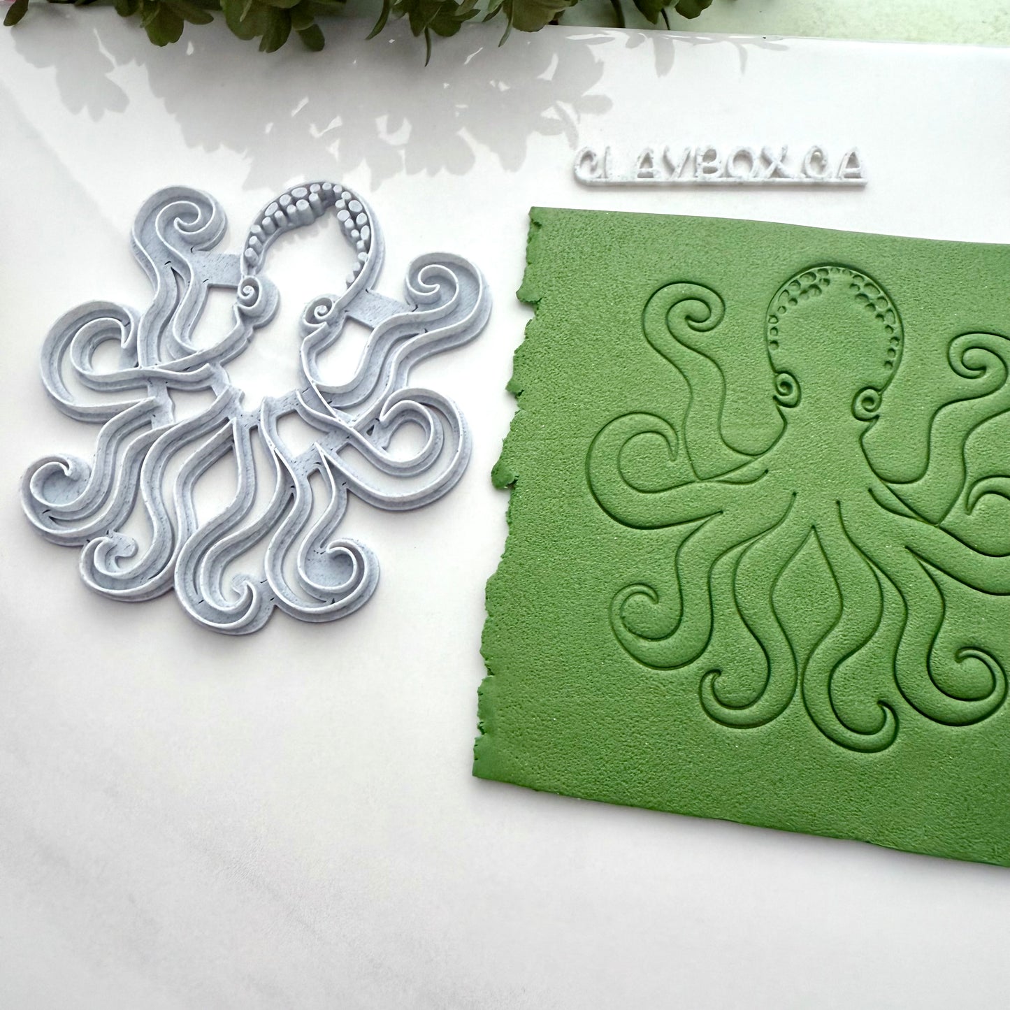 Large Octopus Stamp | Deep Sea Creature Texture for Pottery or Polymer Clay