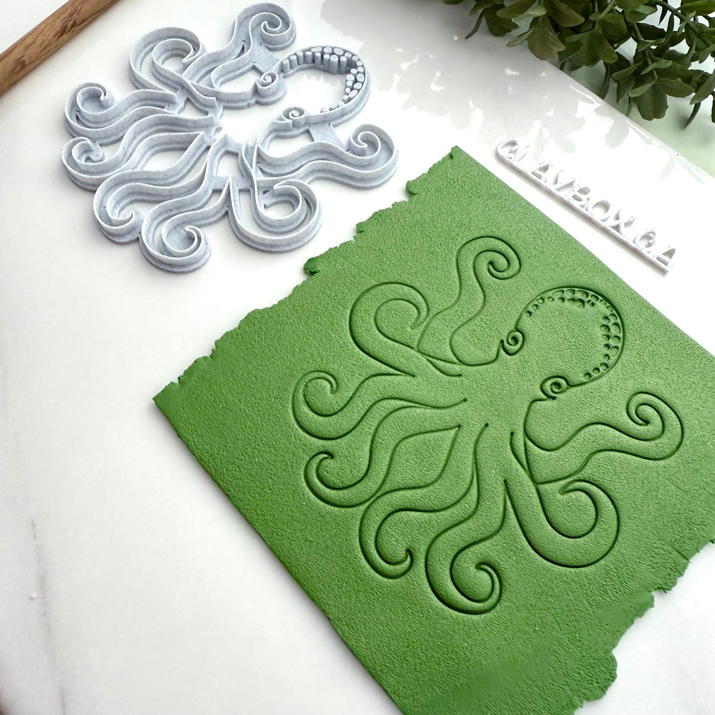 Large Octopus Stamp | Deep Sea Creature Texture for Pottery or Polymer Clay