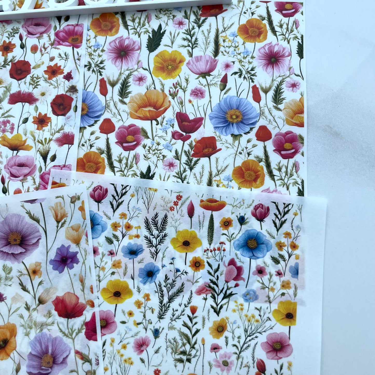 Image transfers - Wildflowers set