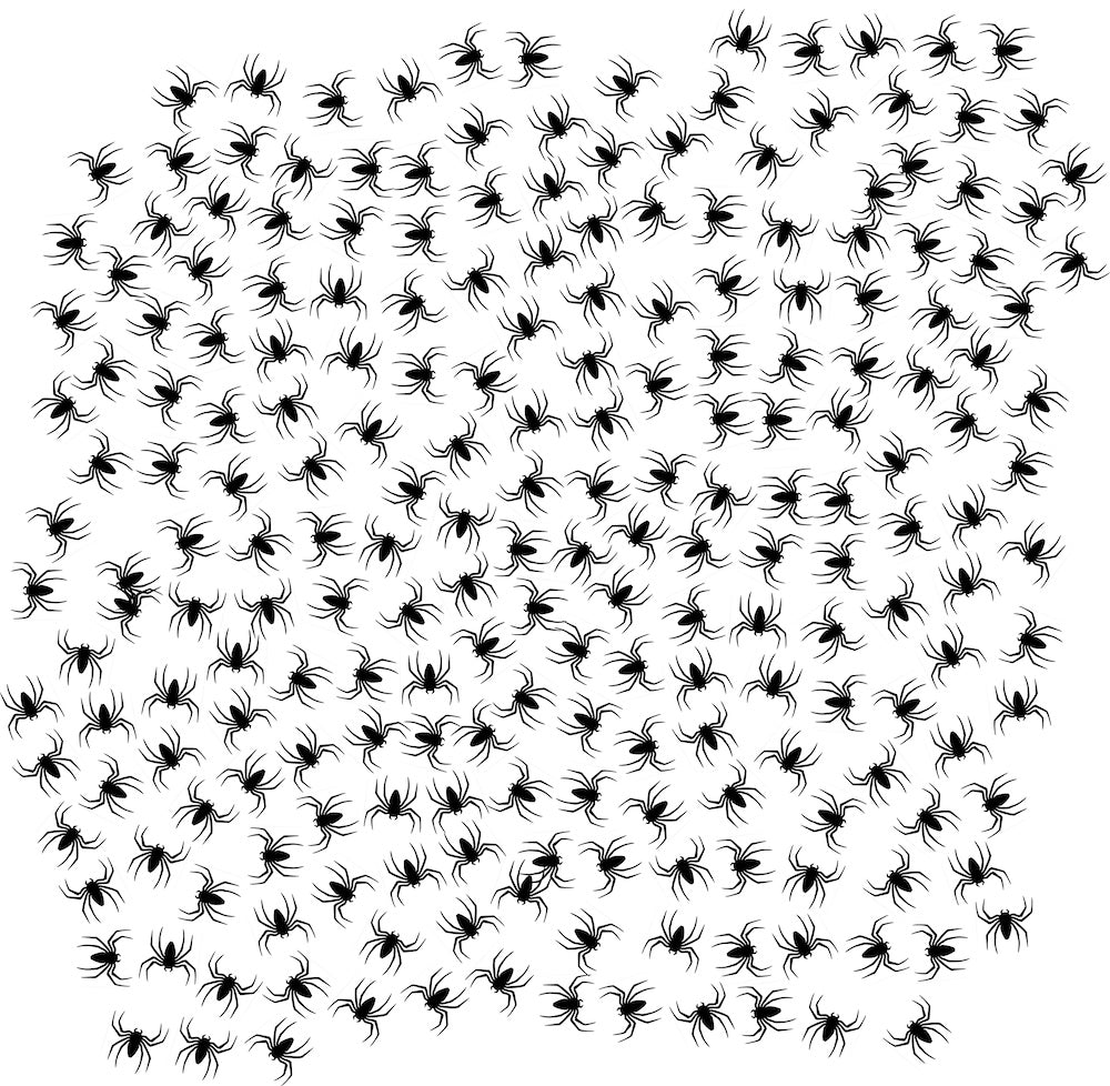 Spiders png file