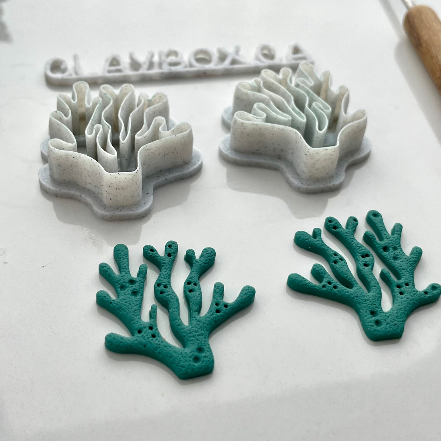 Coral cutter pair / Seaweed cutter pair