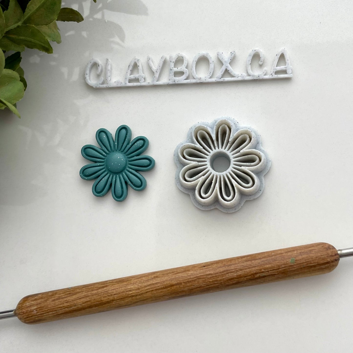 Daisy stamp/cutter