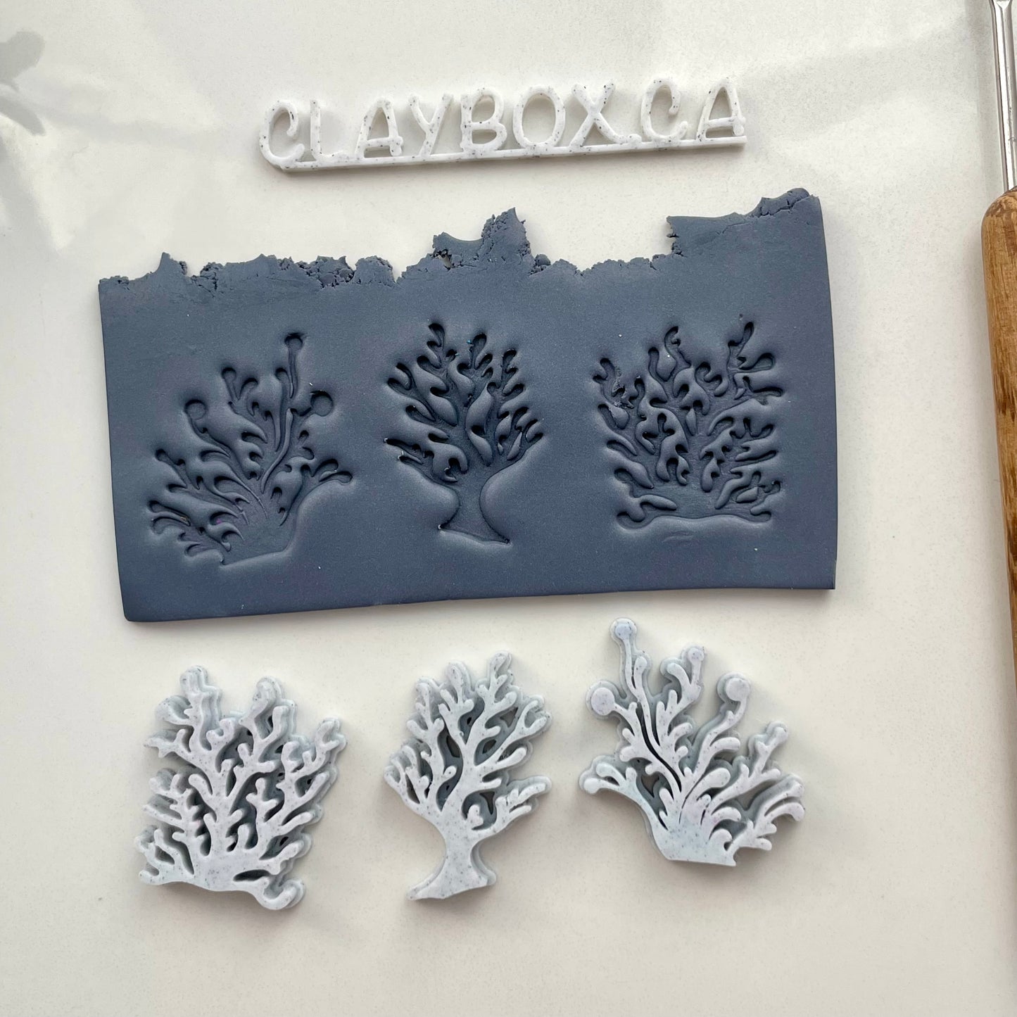 Chunky seaweed stamps