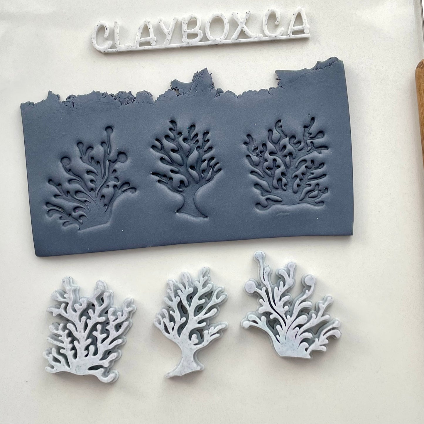 Chunky seaweed stamps