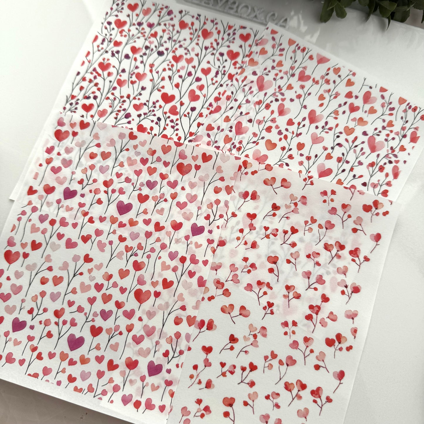 Image transfers - Watercolor Floral hearts