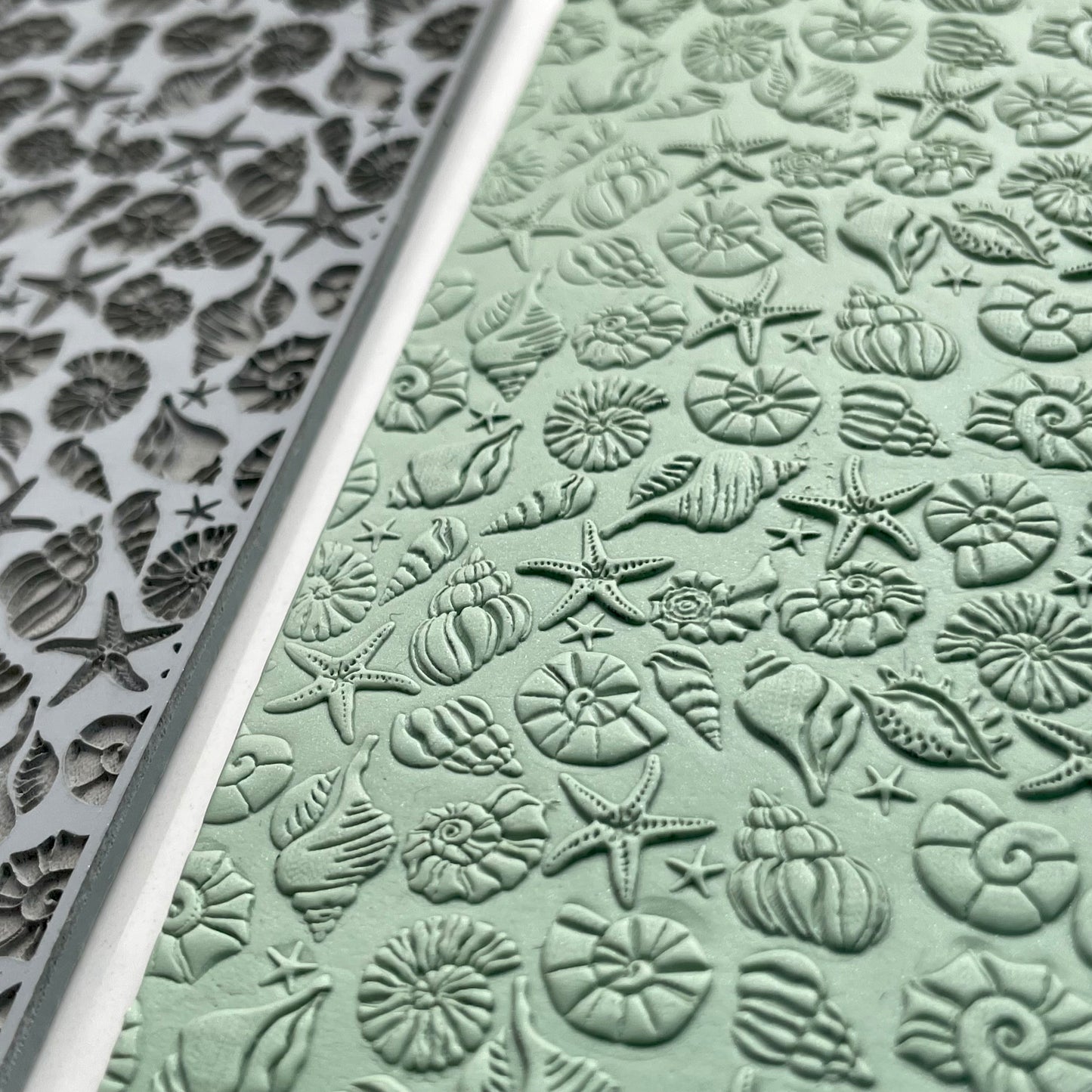 Seashells texture mat